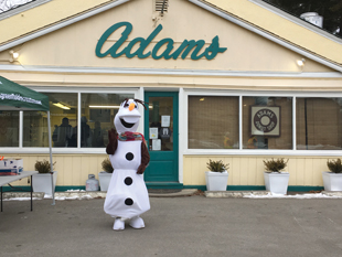 Donuts with Olaf